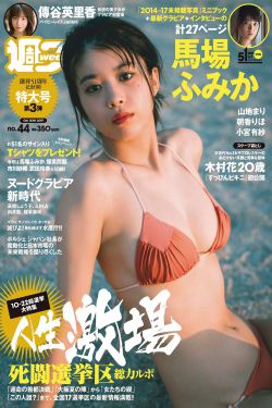新的哥哥