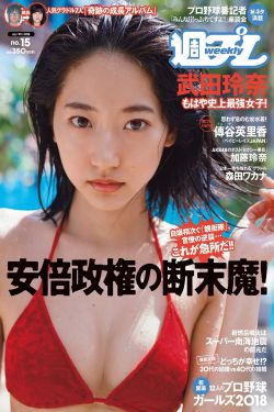 新的哥哥